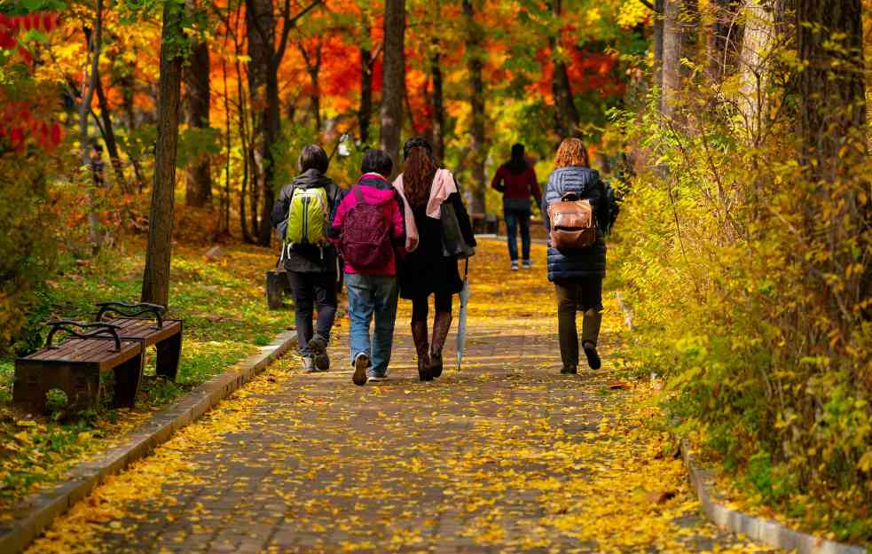 NEDELJA SUNČANA I TOPLA: Temperatura do 17 stepeni, a evo kakvo nas vreme očekuje sledeće sedmice! 

